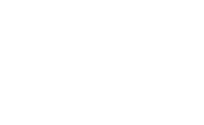 Alternate Text
