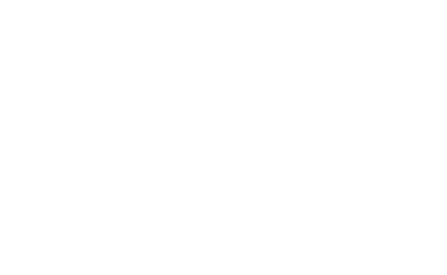 Alternate Text