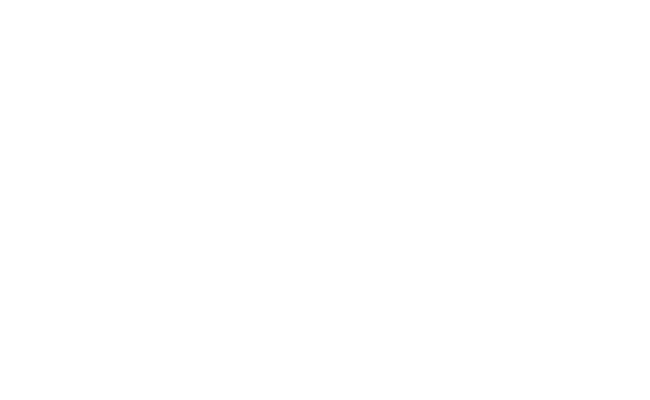 Alternate Text