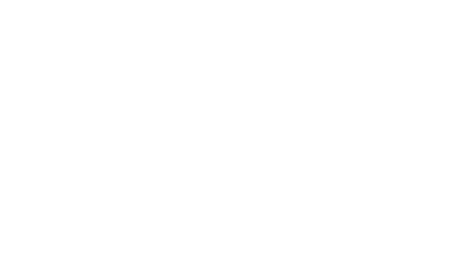 Alternate Text