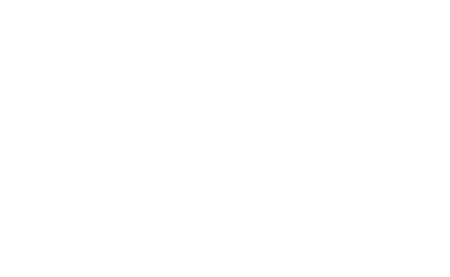 Alternate Text