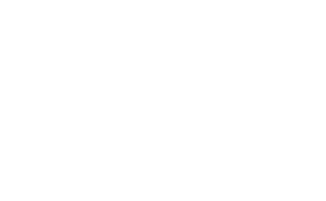 Alternate Text