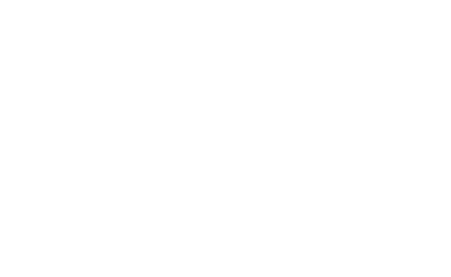 Alternate Text