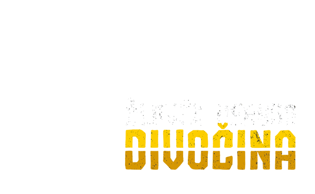 Alternate Text