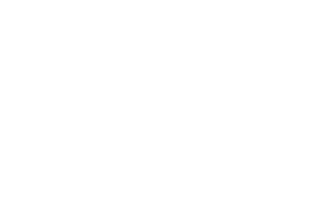 Alternate Text