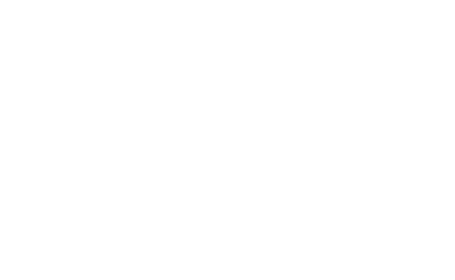 Alternate Text