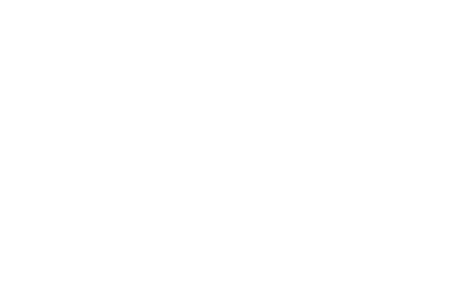 Alternate Text