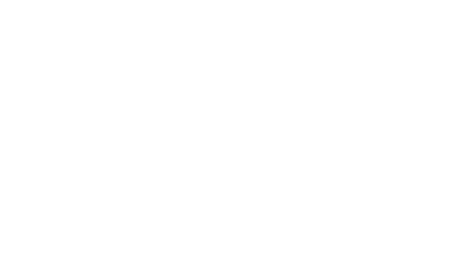 Alternate Text