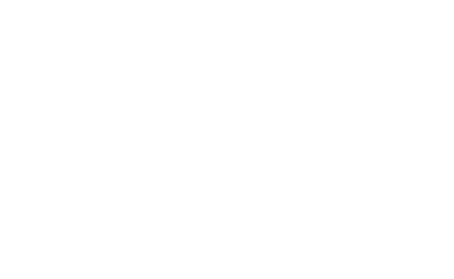 Alternate Text