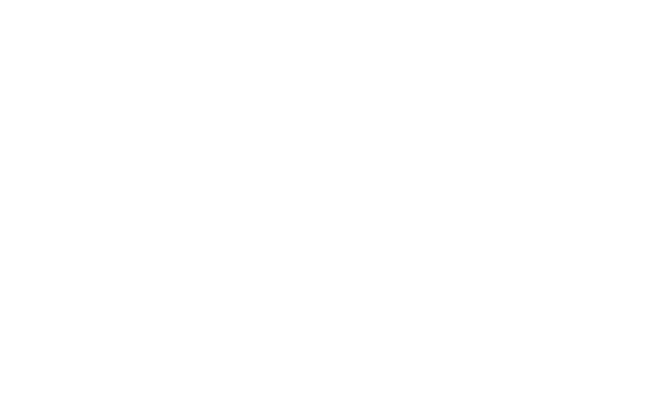 Alternate Text