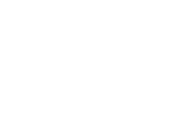 Alternate Text
