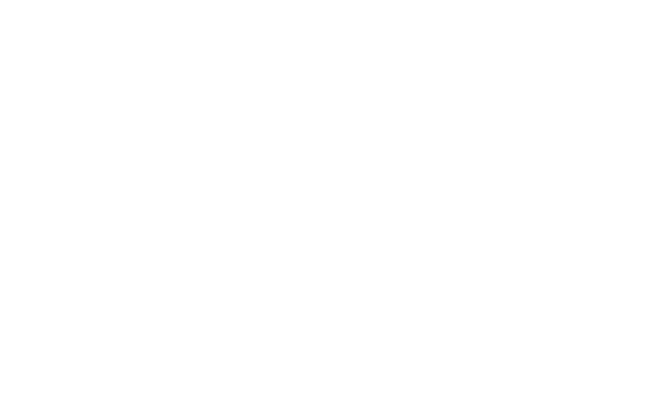 Alternate Text
