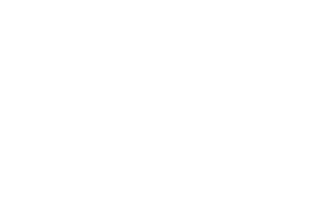 Alternate Text