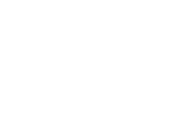 Alternate Text