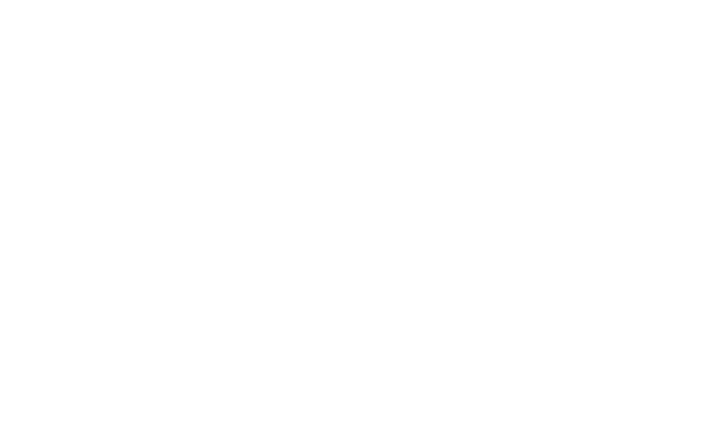 Alternate Text