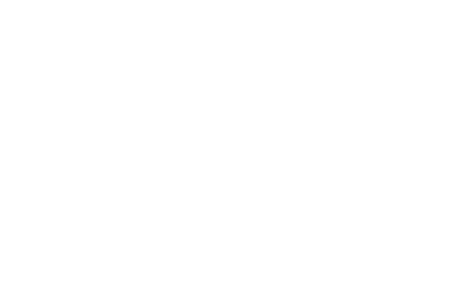 Alternate Text