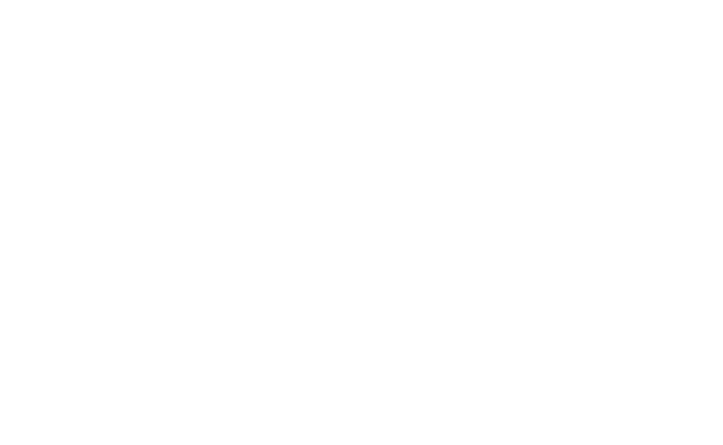 Alternate Text