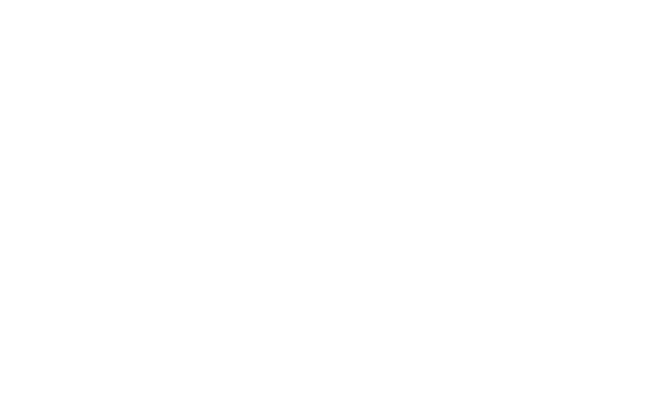 Alternate Text