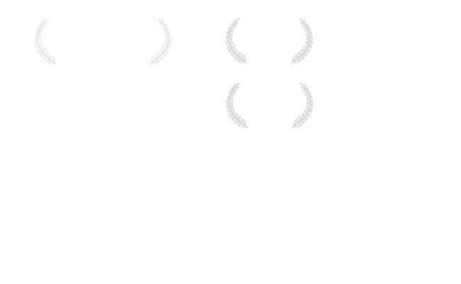 Alternate Text
