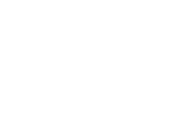 Alternate Text
