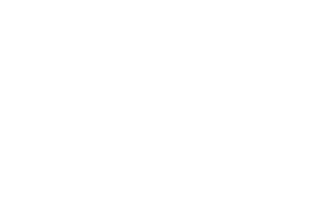 Alternate Text