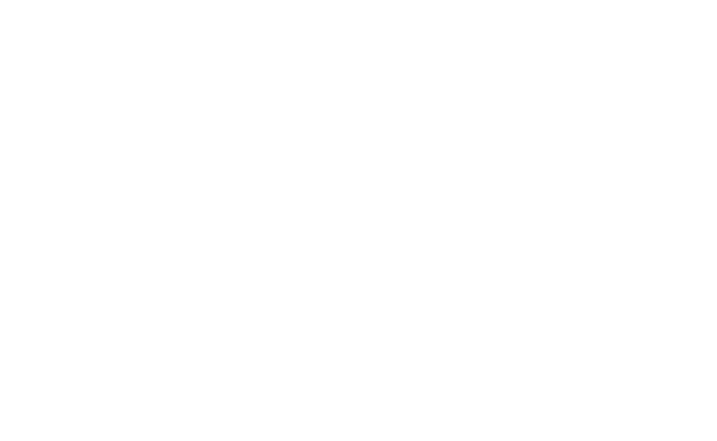 Alternate Text