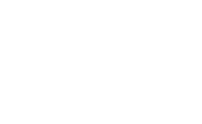 Alternate Text