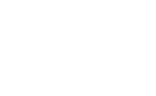 Alternate Text
