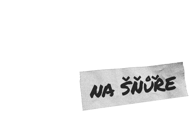 Alternate Text