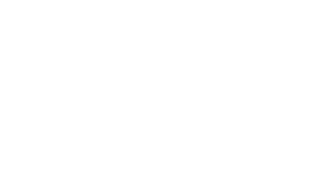 Alternate Text