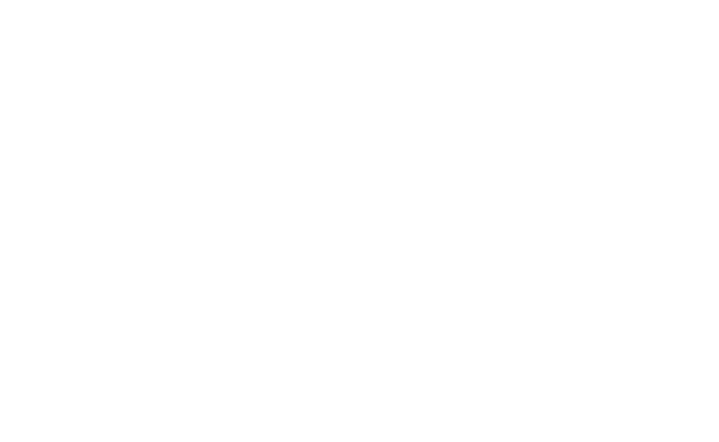 Alternate Text