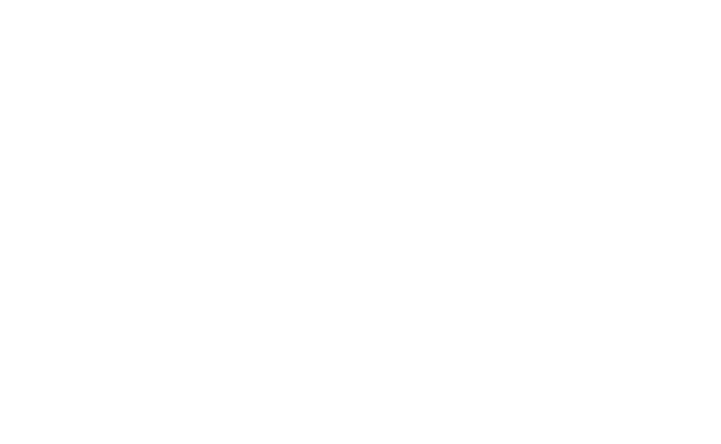 Alternate Text