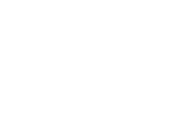 Alternate Text
