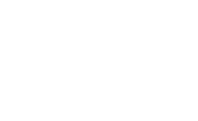 Alternate Text