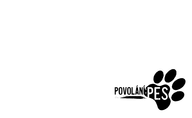 Alternate Text