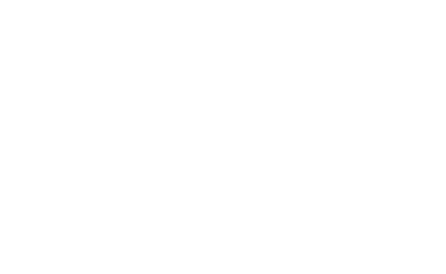 Alternate Text