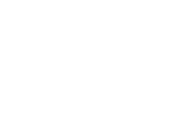 Alternate Text