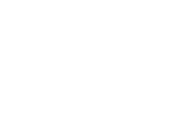 Alternate Text