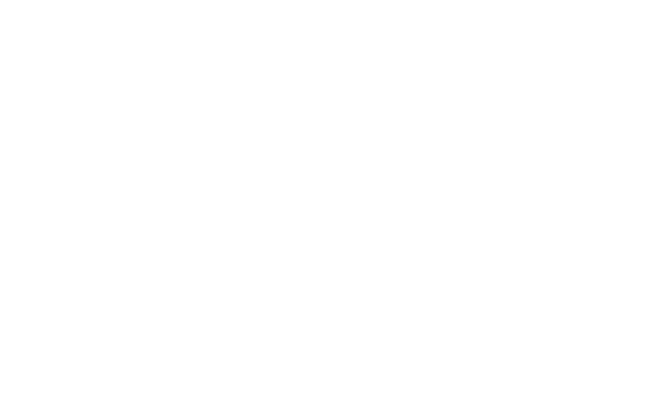 Alternate Text