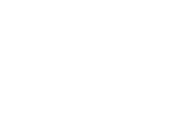 Alternate Text
