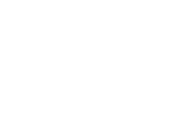 Alternate Text