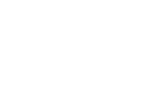 Alternate Text