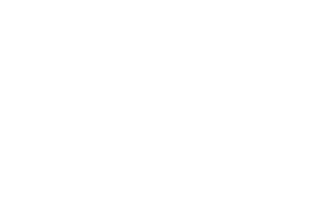 Alternate Text