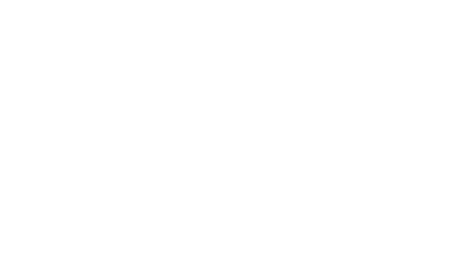Alternate Text
