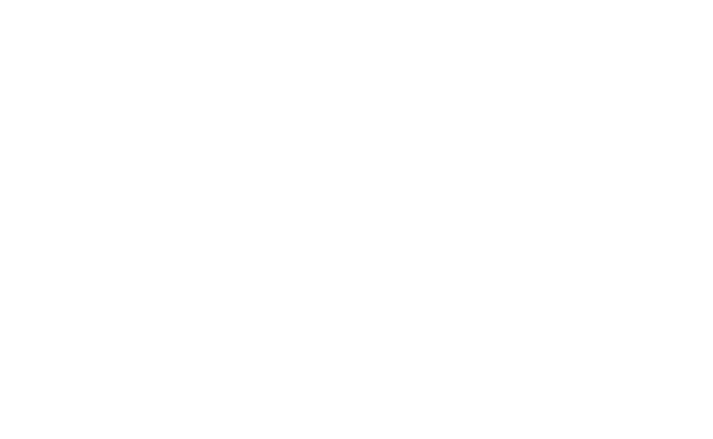 Alternate Text