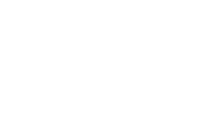 Alternate Text