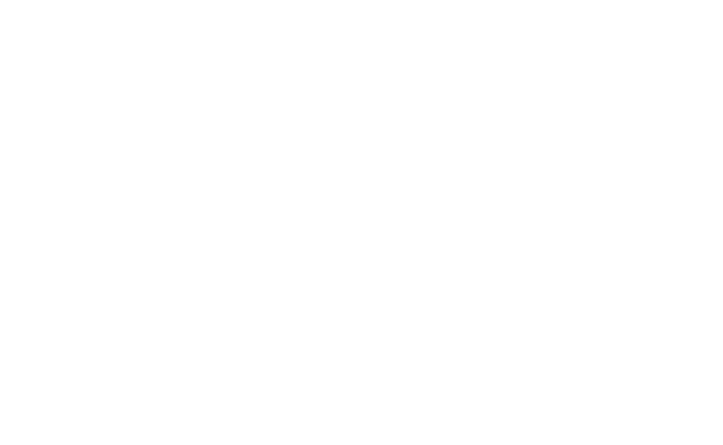 Alternate Text